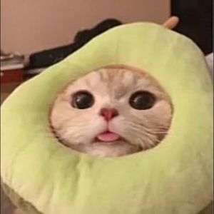 Meet your Posher, Cora